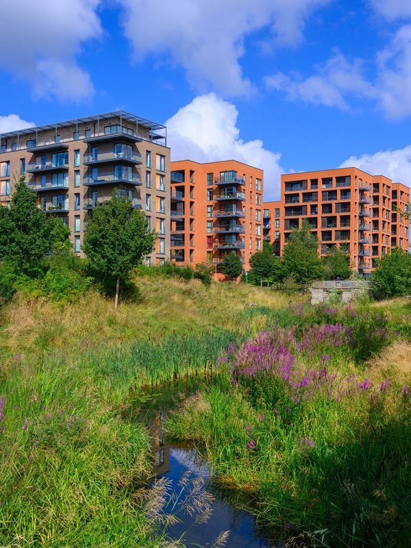 Responsible Development vs. Irresponsible Development: The Future of&nbsp;Communities
